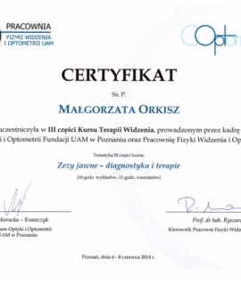 Zezy jawne – diagnostyka i terapie. Kurs terapii widzenia, cz. III, UAM, Poznań 2014